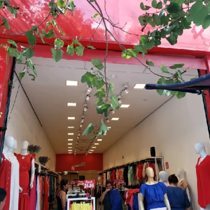 beautt-rua-oriente-719