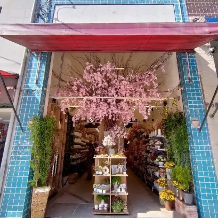 decore-mais-flores-avenida-vautier-658