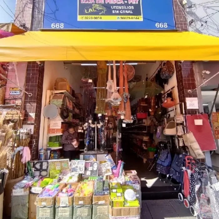 lal-avenida-vautier-668