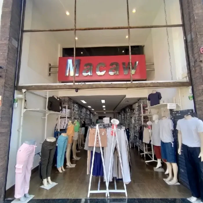 macaw-rua-maria-joaquina-69