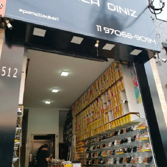 pamella-diniz-rua-rodrigues-dos-santos-512