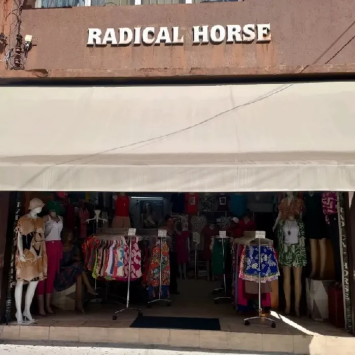 radical-horse-rua-conselheiro-belisario-120