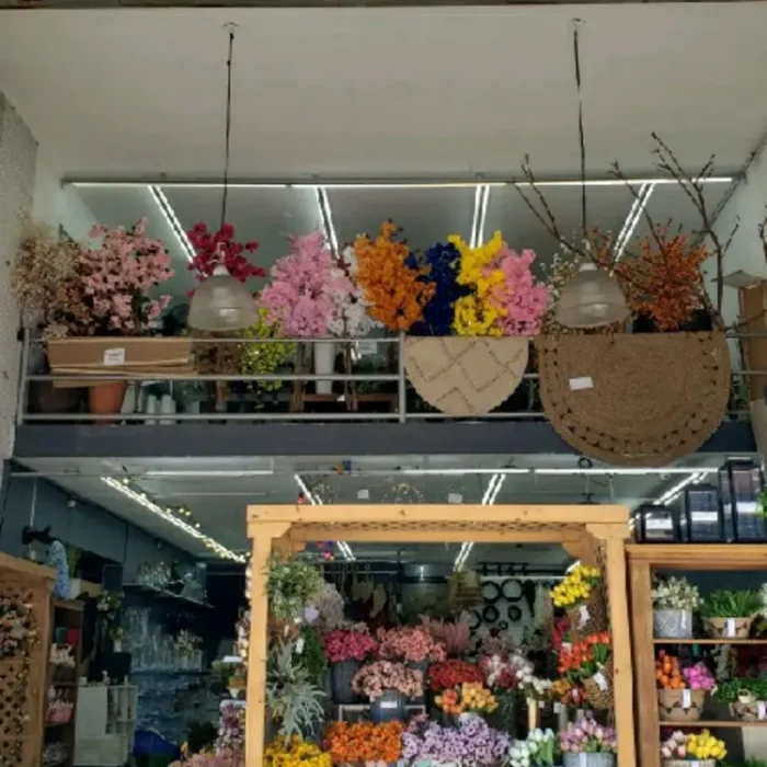 tuti-flores-avenida-vautier-415