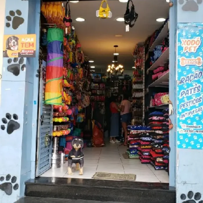 xodo-pet-rua-hannemann-483_fachada_140120251212